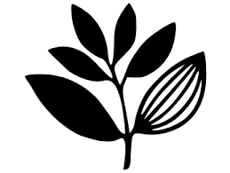 Logo Magenta